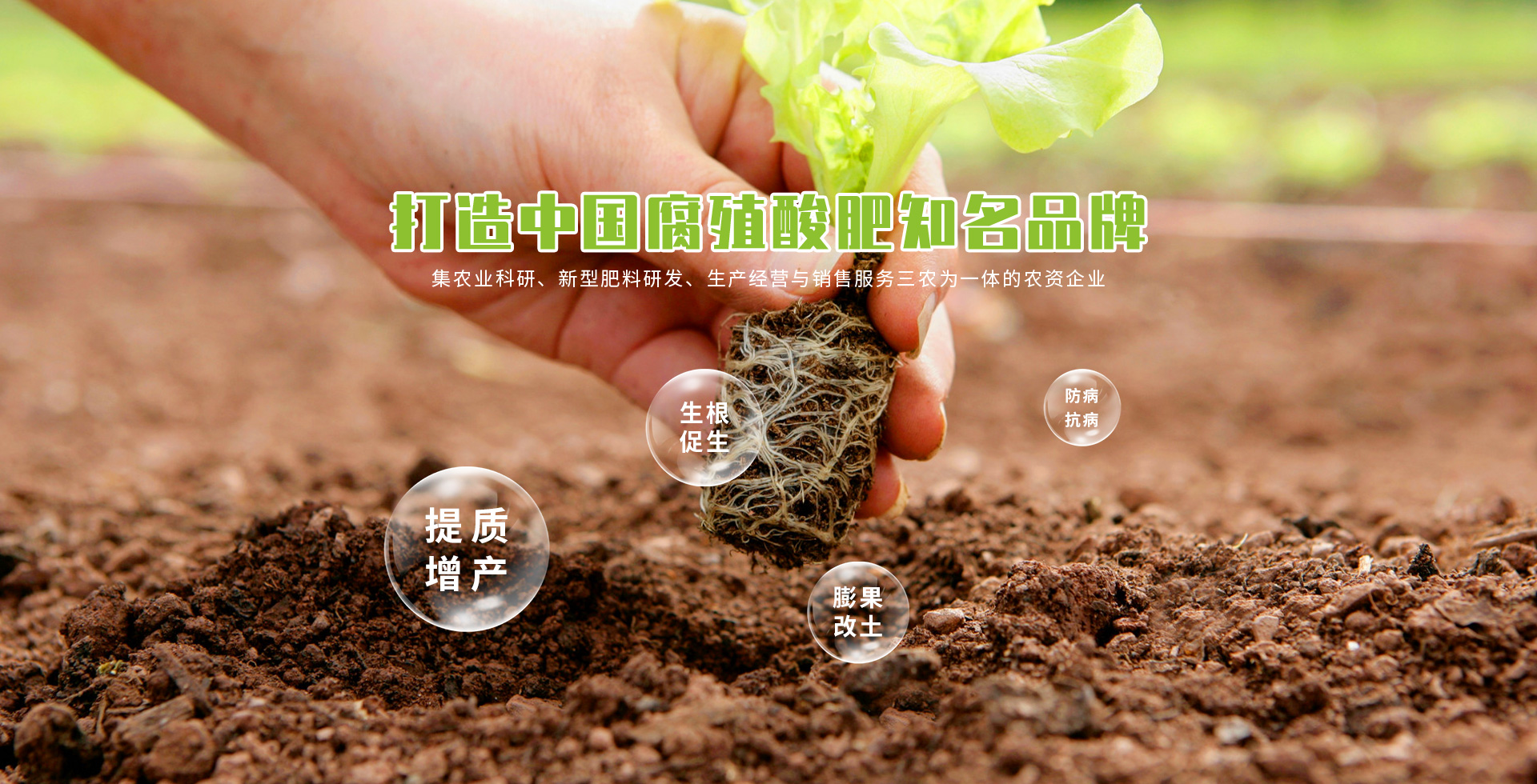 蓝颜gtv
股份有限公司