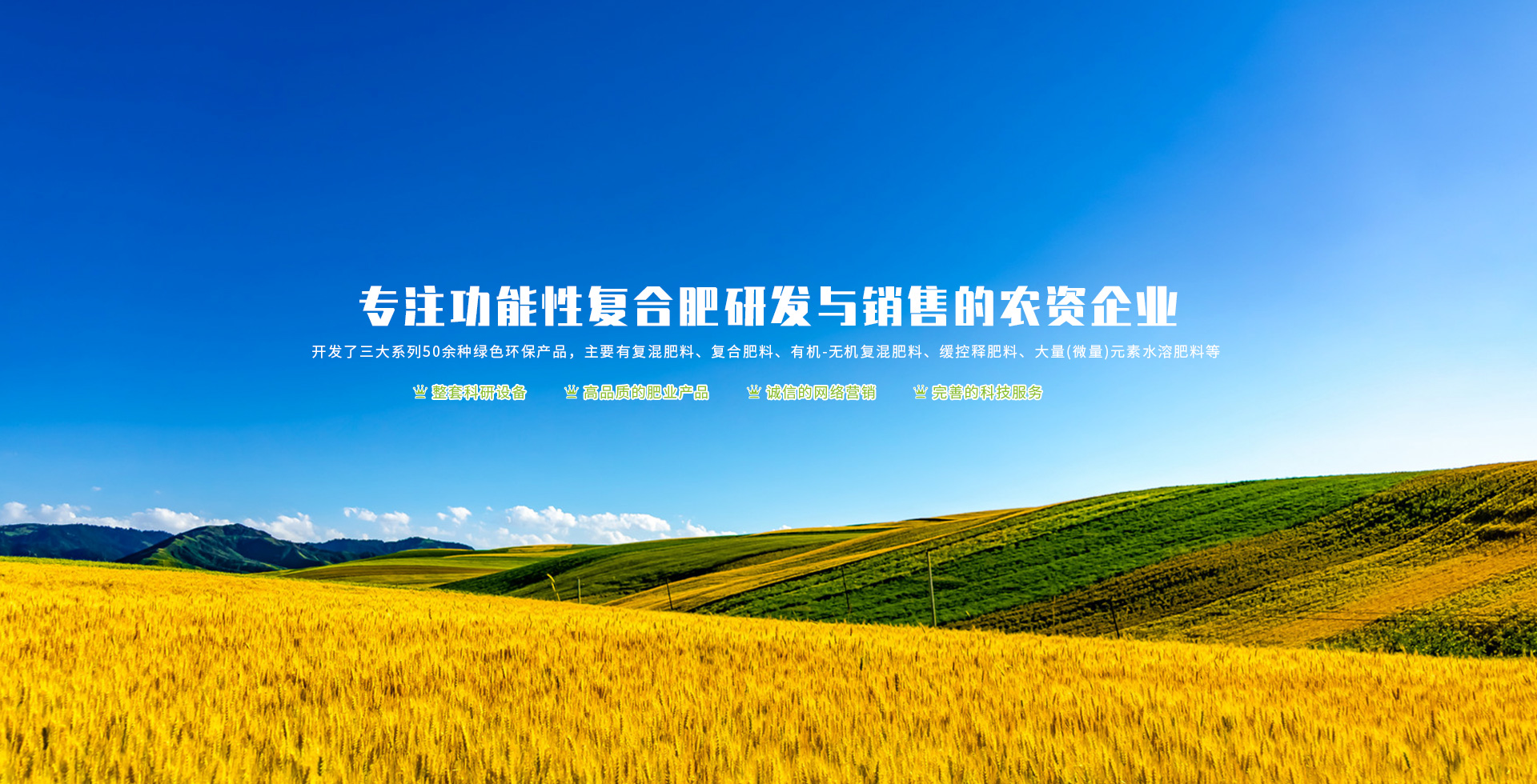 蓝颜gtv
股份有限公司